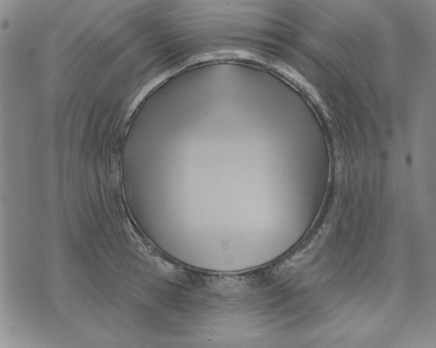 X0000076220945200610191529