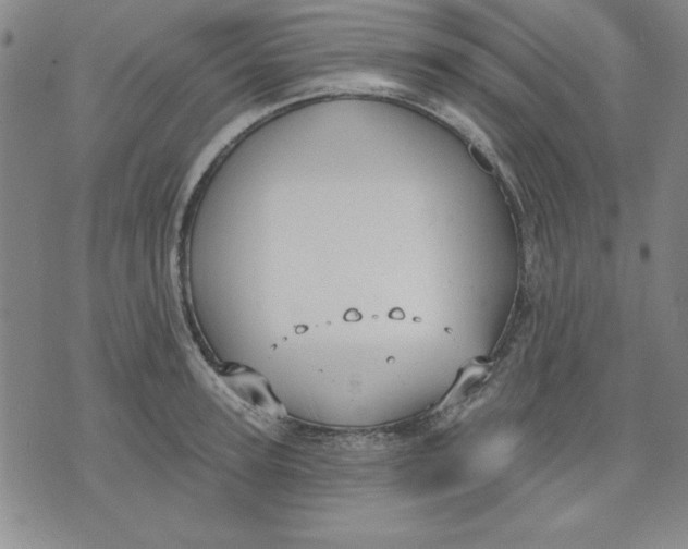 X0000076220947200610191529