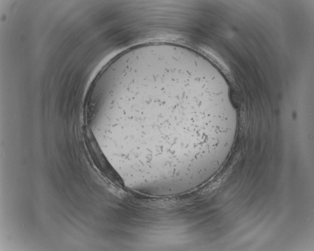 X0000076220948200610191529