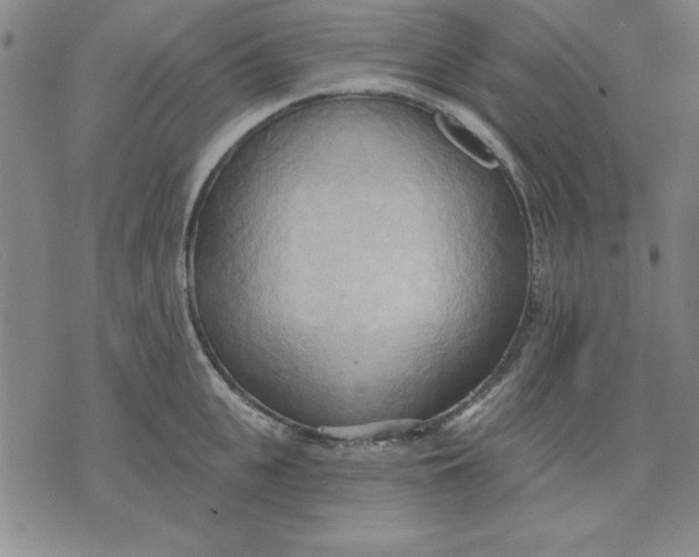 X0000076220951200610191529