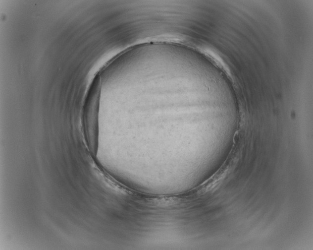 X0000076220952200610191529