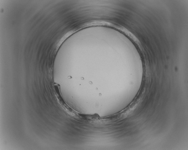 X0000076220953200610191529