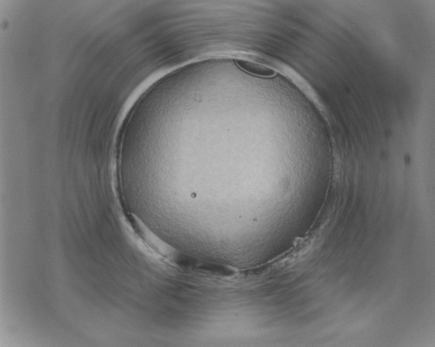 X0000076220955200610191529