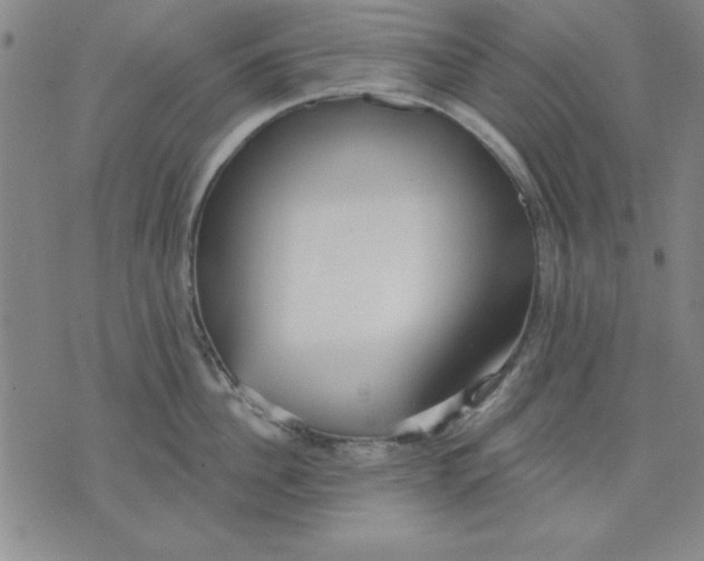 X0000076220956200610191529