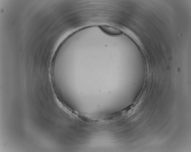 X0000076220958200610191529