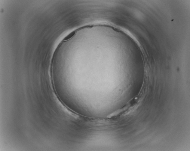 X0000076220959200610191529