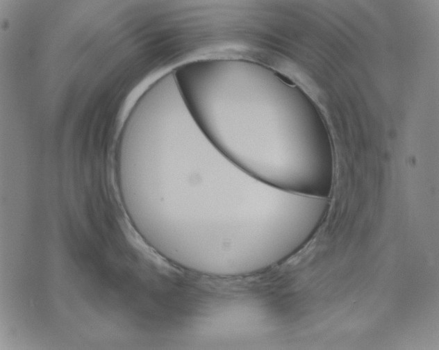 X0000076220960200610191529