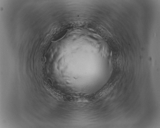 X0000076220961200610191529