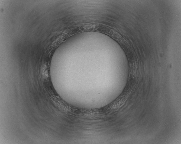 X0000076220962200610191529