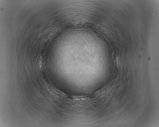 X0000076220963200610191529