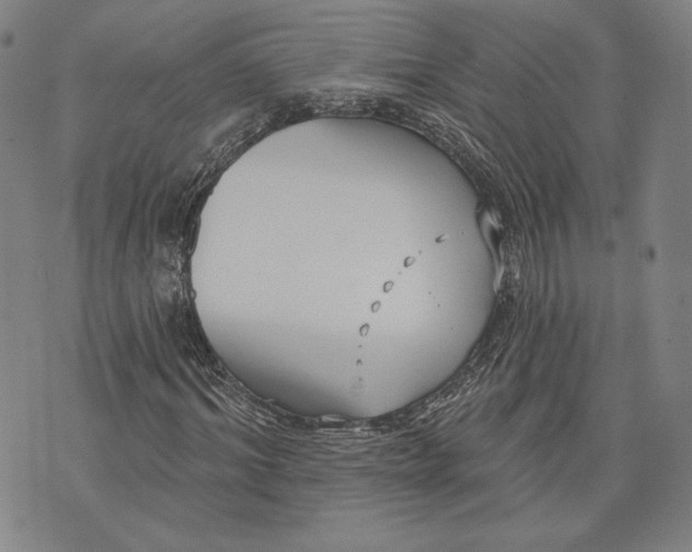 X0000076220964200610191529