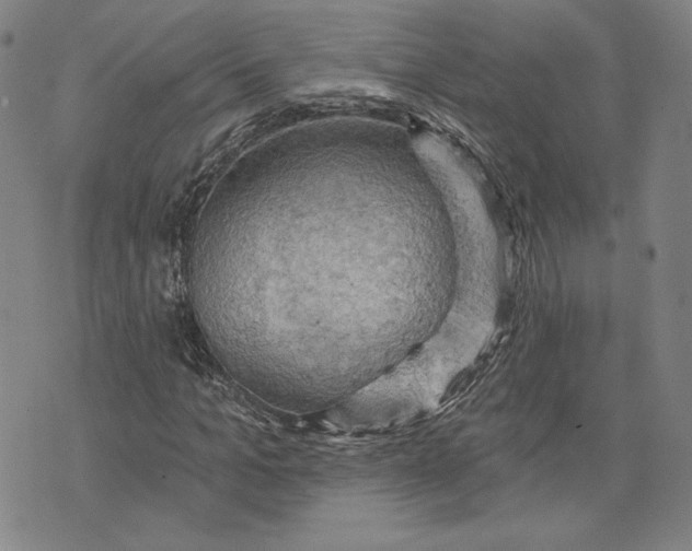 X0000076220965200610191528