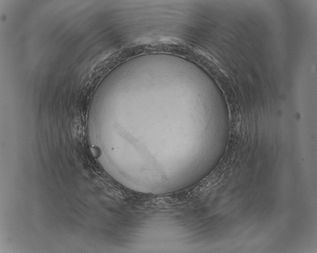 X0000076220966200610191528