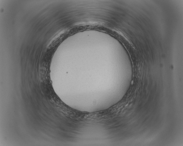 X0000076220967200610191528