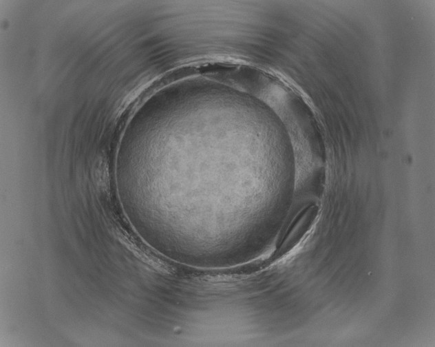 X0000076220969200610191528