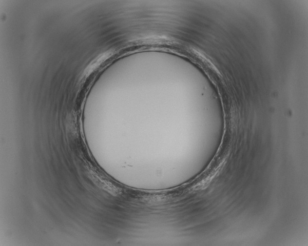 X0000076220970200610191528