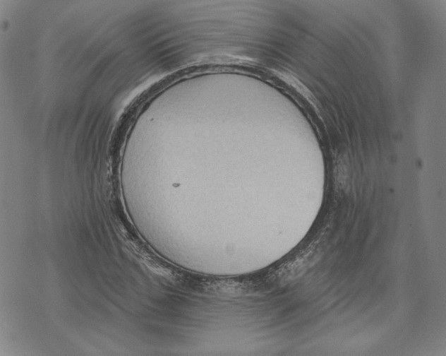 X0000076220971200610191528