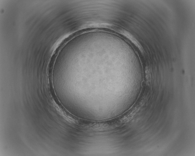 X0000076220972200610191528