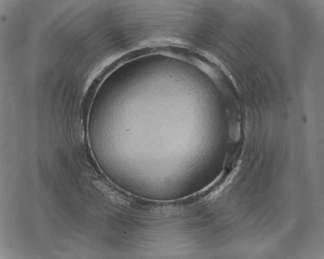 X0000076220973200610191528