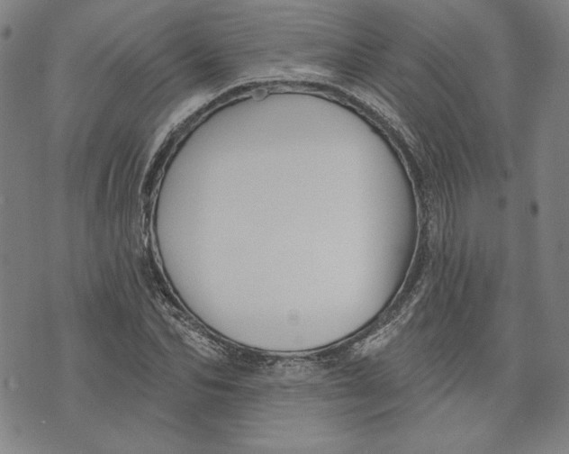 X0000076220974200610191528