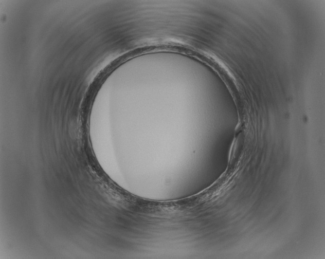 X0000076220975200610191528