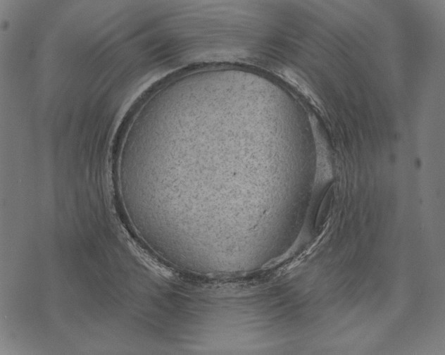 X0000076220976200610191528