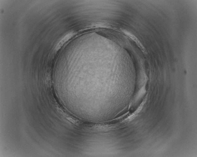 X0000076220977200610191528