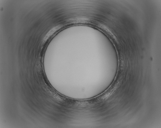 X0000076220978200610191528