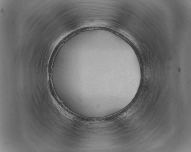 X0000076220980200610191528