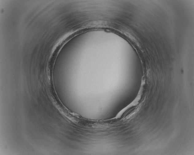 X0000076220981200610191528