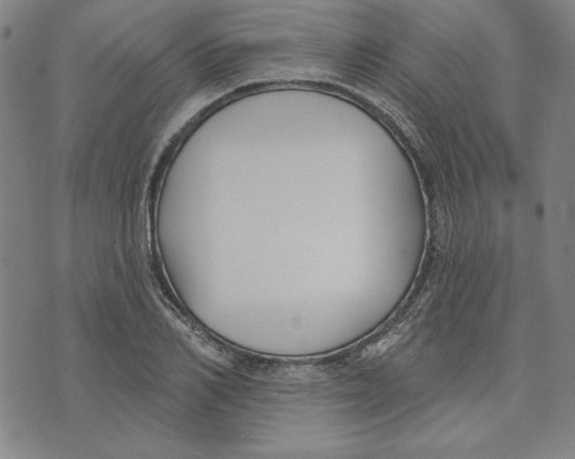 X0000076220982200610191528