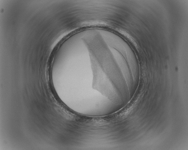 X0000076220983200610191528