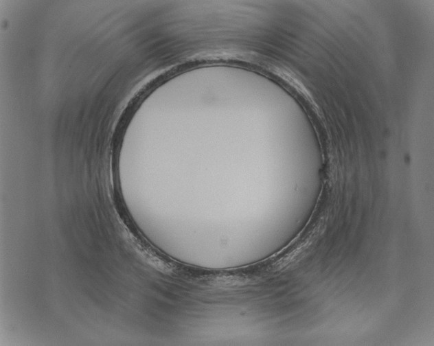 X0000076220984200610191528