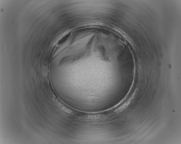 X0000076220985200610191528