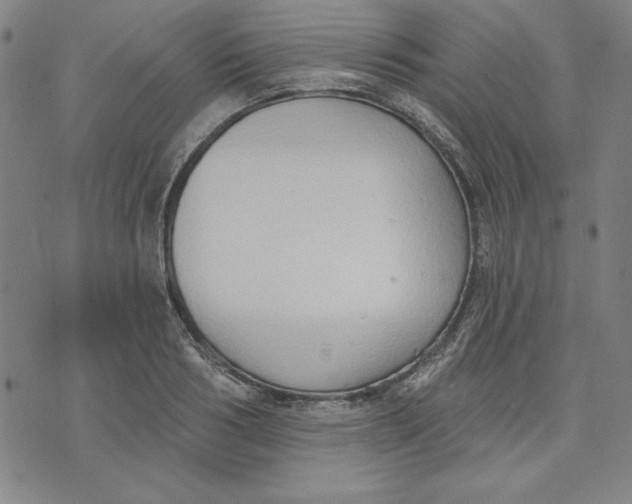 X0000076220986200610191528