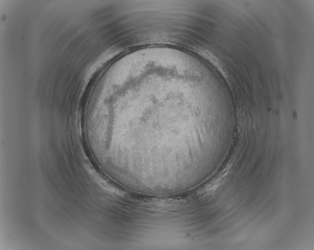 X0000076220987200610191528