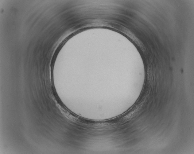 X0000076220988200610191528