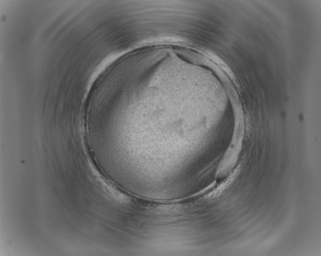 X0000076220989200610191528