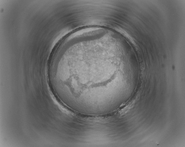 X0000076220991200610191528