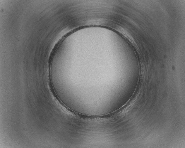 X0000076220992200610191528