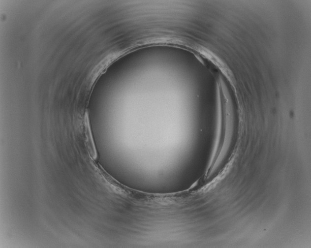 X0000076220993200610191528