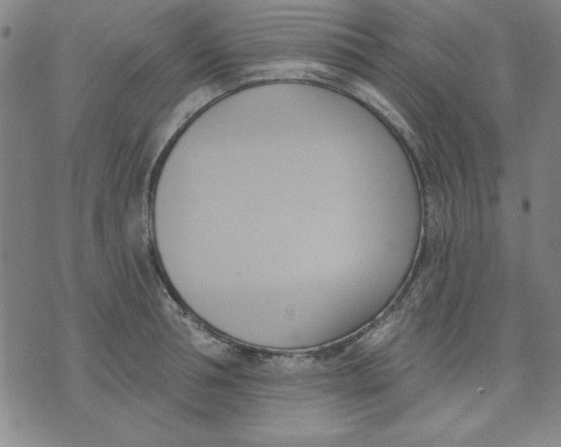 X0000076220994200610191528