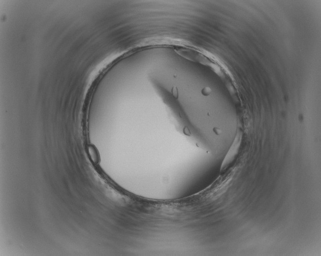 X0000076220995200610191528