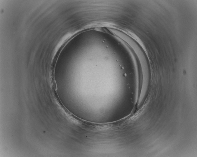 X0000076220997200610191528