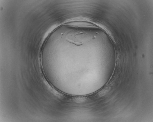 X0000076220998200610191528