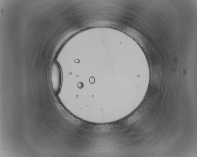 X0000076221000200610191528