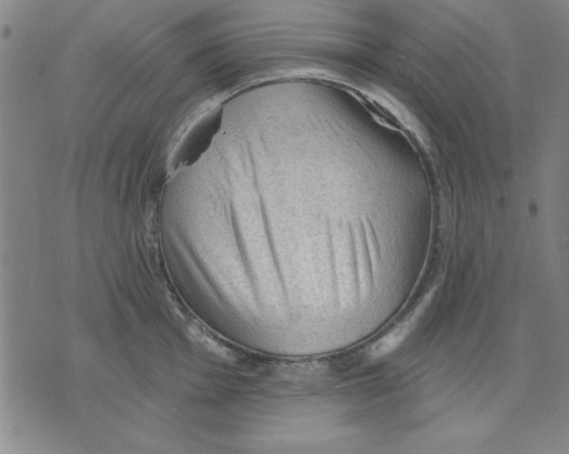 X0000076221001200610191528