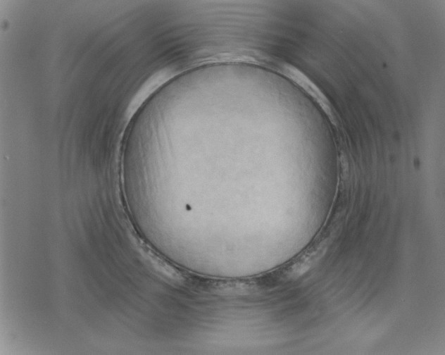 X0000076221002200610191528