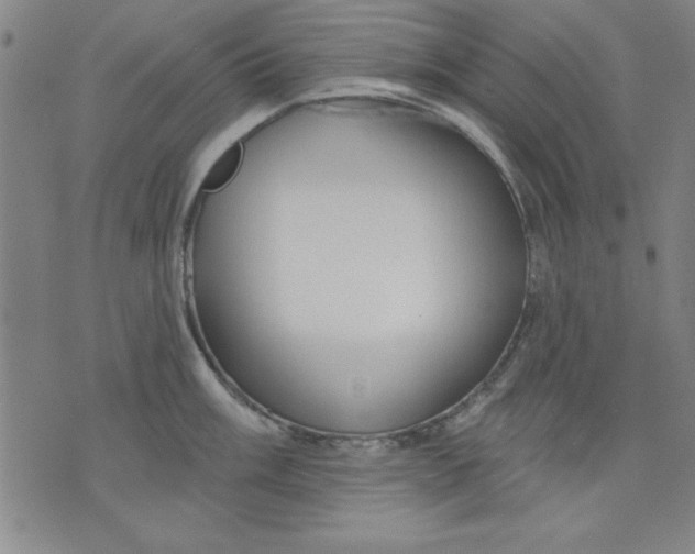 X0000076221003200610191528