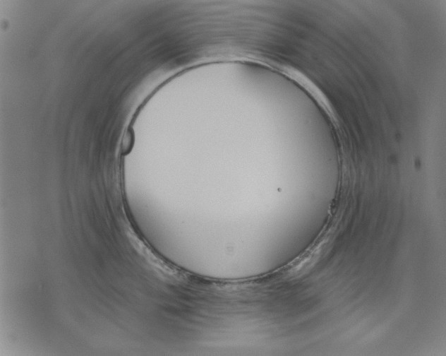 X0000076221004200610191528